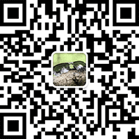 山东岳洋通达金属制品有限公司